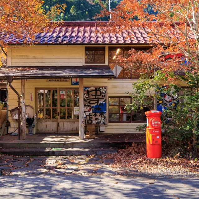 馬路村