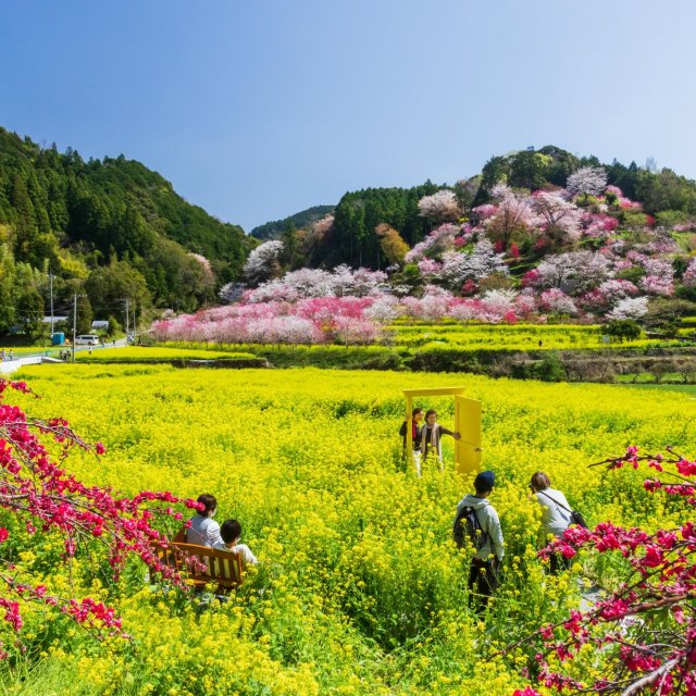 西川花公園