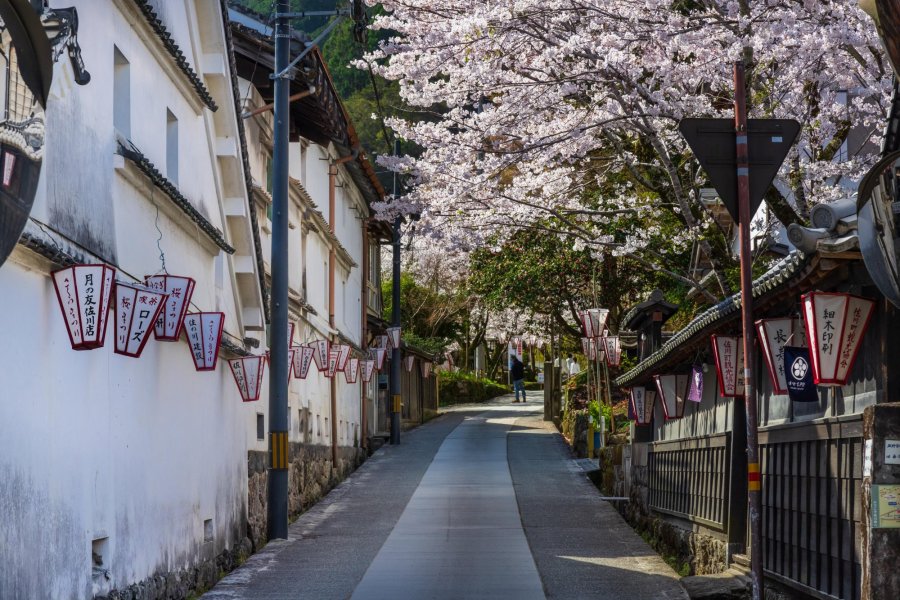 Sakawa: town of cherry blossoms｜What to See & Do｜VISIT KOCHI JAPAN