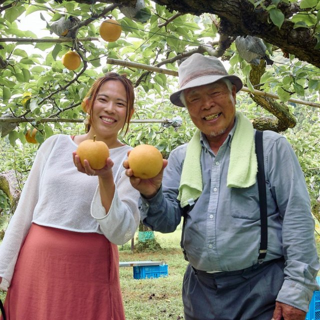 Tsuchimoto Tourist Orchard