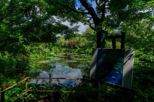 北川村「莫內庭園」馬摩丹