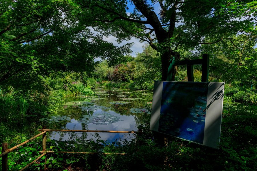 Monet's Garden Marmottan in Kitagawa Village｜What to See & Do 