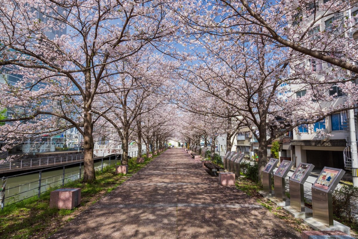 โอะกะยะบะชิ - โฮะริคะวะ เมืองโคจิ