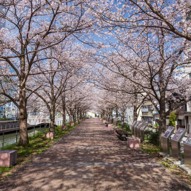 Horikawa Canal and Ogaya Bridge 