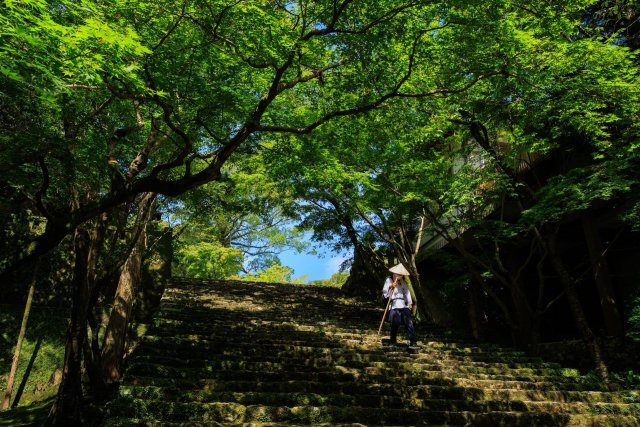 Chikurin-ji Temple