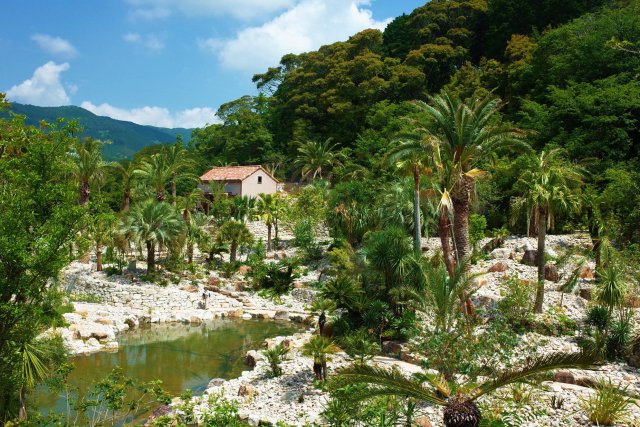 北川村「莫內庭園」馬摩丹