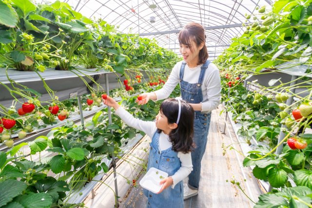 【計程車遊高知】物部川地區觀光計程車半日遊
