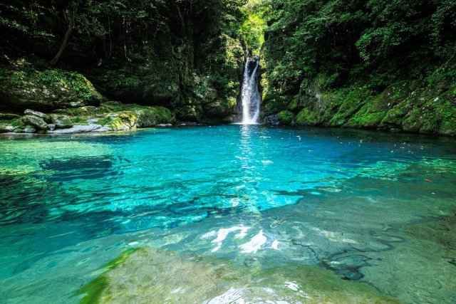 【計程車遊高知】走進奇蹟藍色世界！仁淀川「笑淵」半日秘境探訪