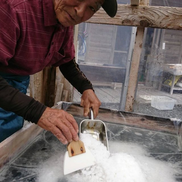 企业组合Salt Bee