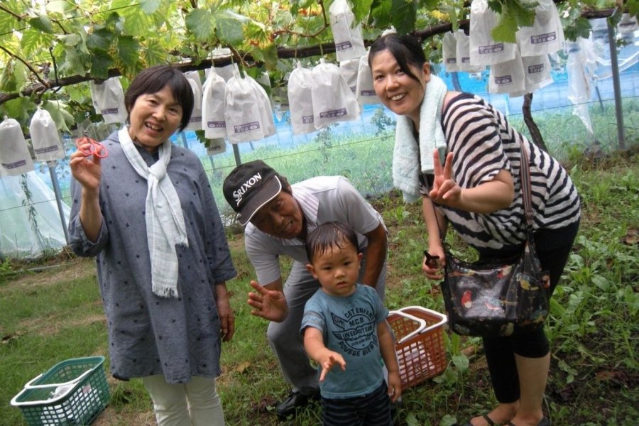 楽天市場】【ふるさと納税】【選べる配送月】農園直送 シャイン