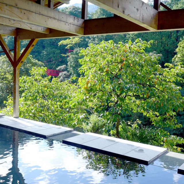 Hotel Matsubakawa Onsen