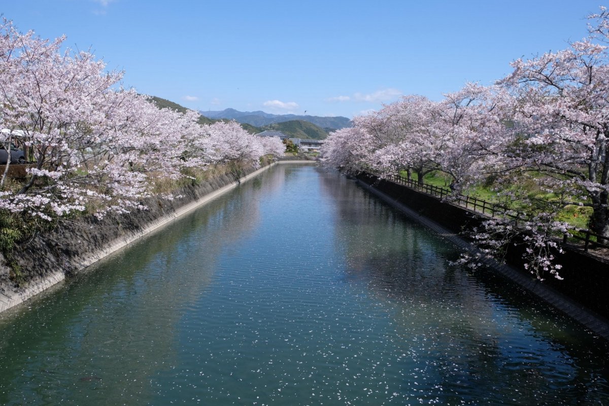 관광｜VISIT KOCHI JAPAN