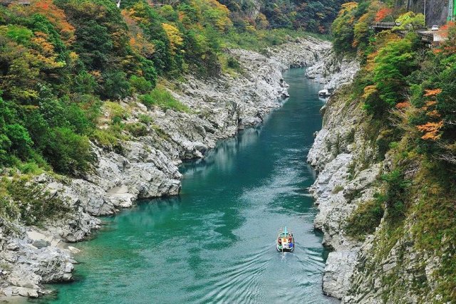 德島、大步危、祖谷觀光