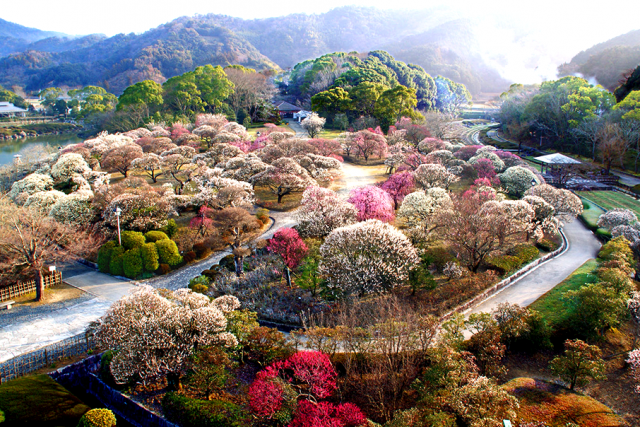 Nanraku-en Garden