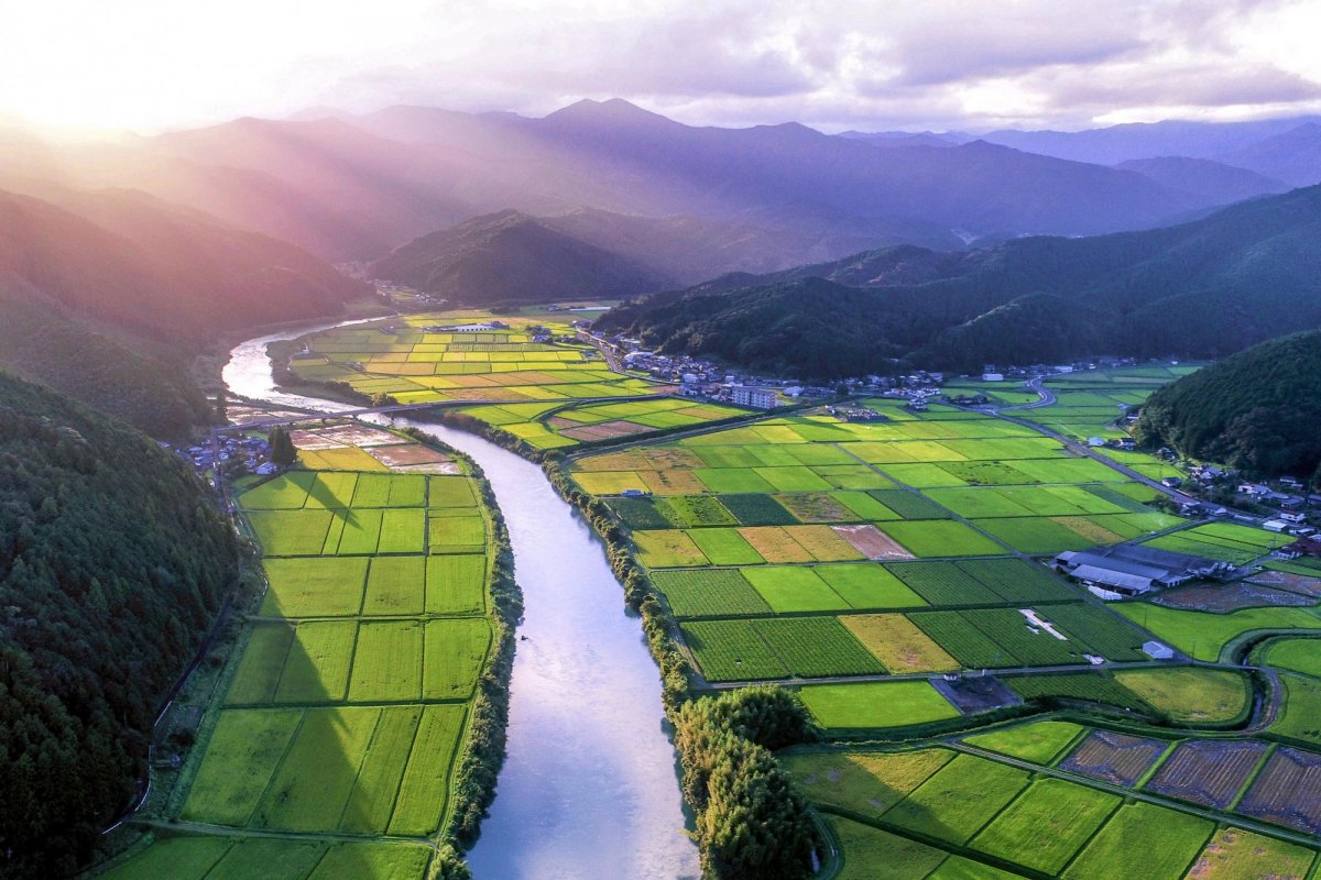 시만토 강 계곡: 일본 최고의 숨겨진 명소