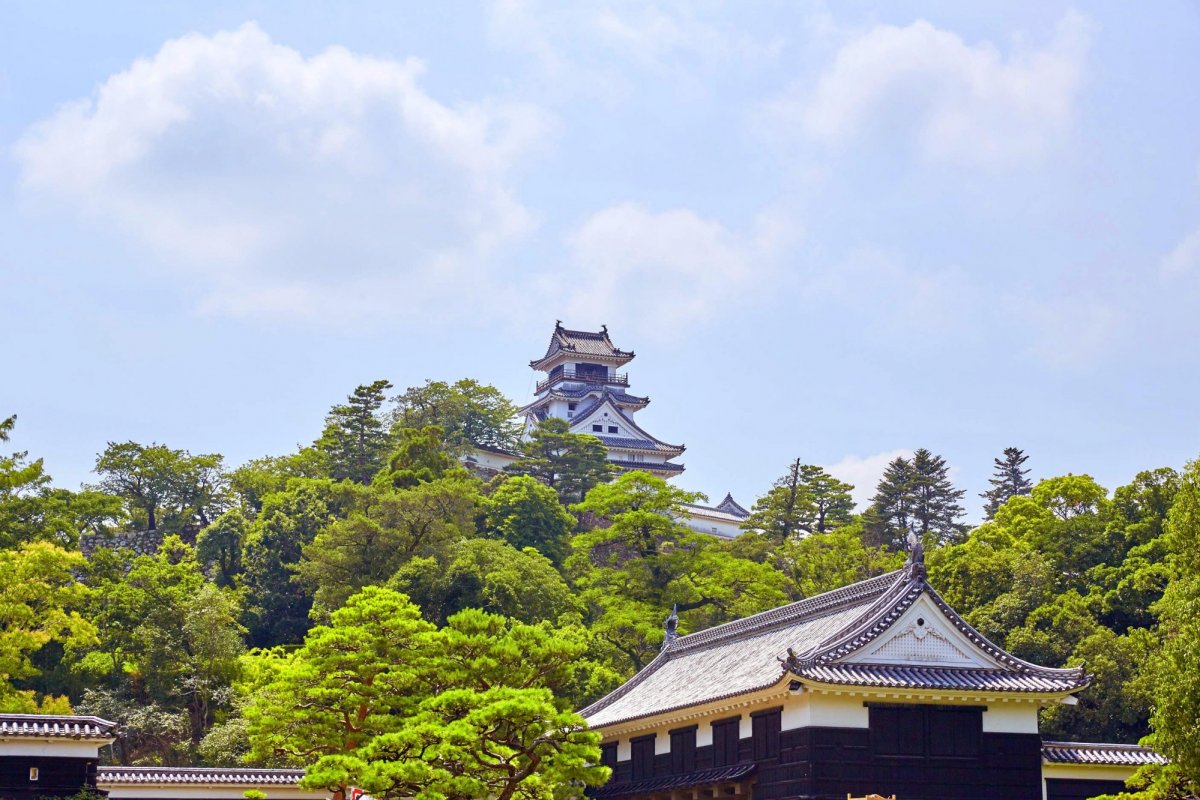 Conquer Kochi Castle!