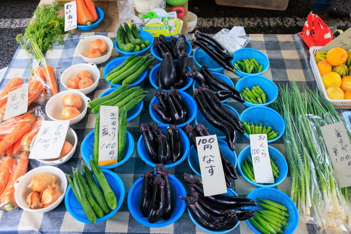 '현지 맛집 매력도 조사'에서 여러 해 연속으로 순위 안에 드는 비결　고치현에서 놓쳐선 안 될 특산품과 현지 맛집