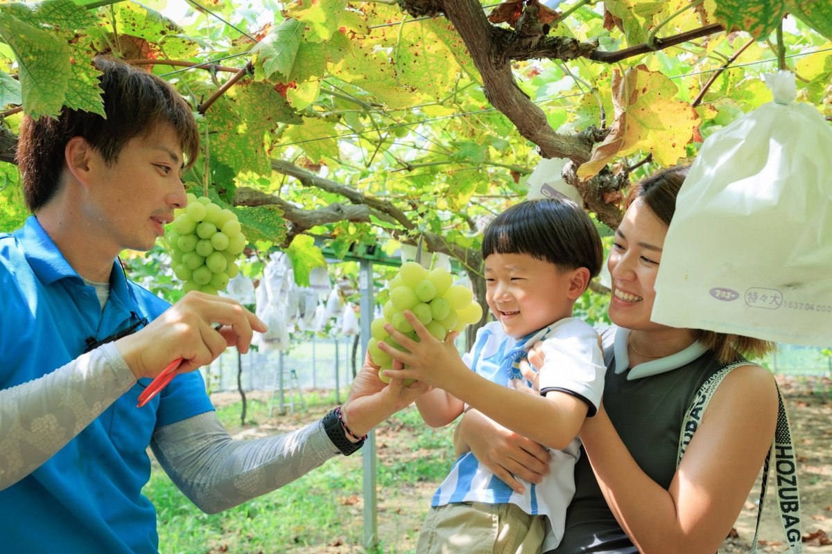 ประสบการณ์เก็บผลไม้ 4 ฤดูกาลในจังหวัดโคจิ