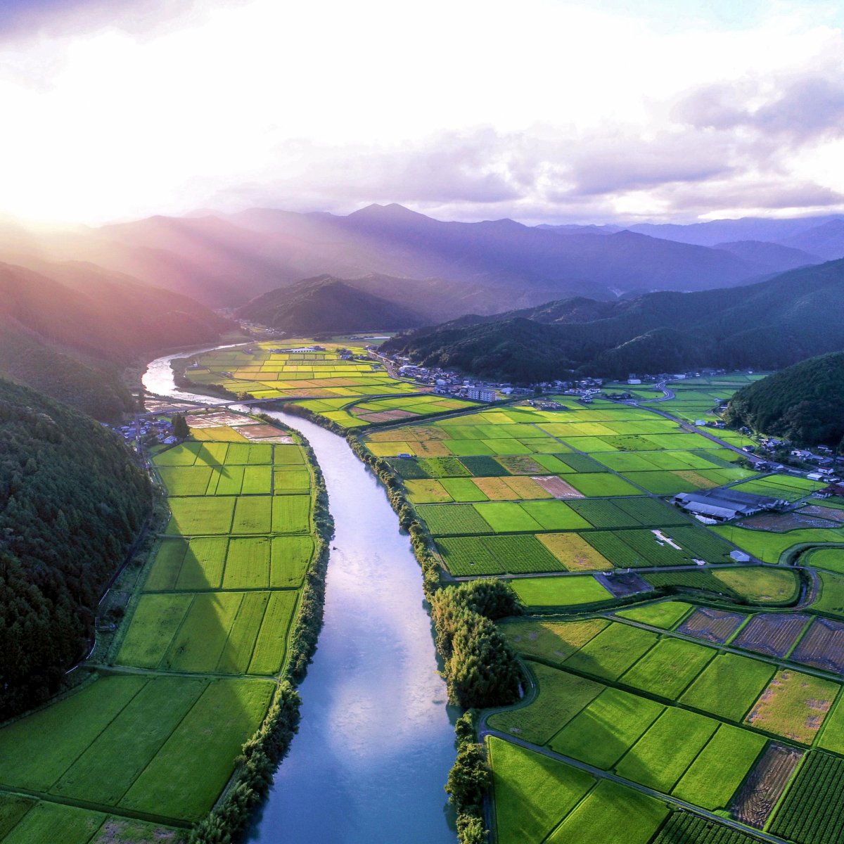 Shimanto River Valley: Japan's Best Kept Secret｜Highlights｜VISIT KOCHI 