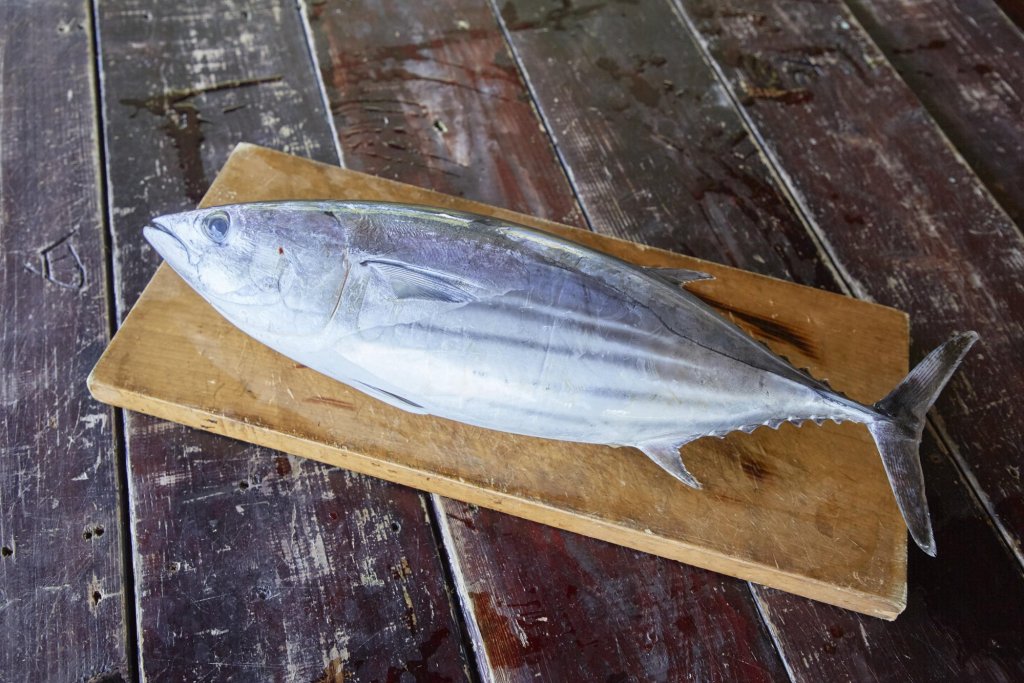 Katsuo No Tataki Seared Bonito Kochi S Soul Food Taste Of Kochi Visit Kochi Japan