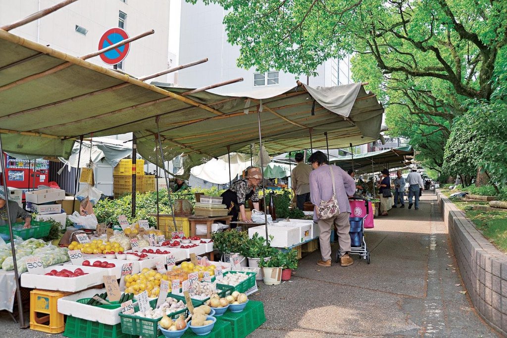 The oldest and largest sunday market in Japan｜Highlights｜VISIT KOCHI JAPAN