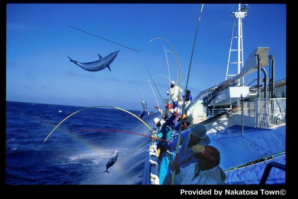 高知的灵魂美食 炙烤鲣鱼 高知的味道 Visit Kochi Japan