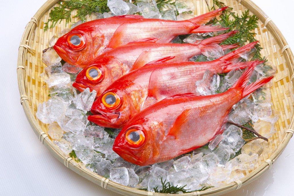 不只是鲣鱼 高知的美味海鲜 高知的味道 Visit Kochi Japan